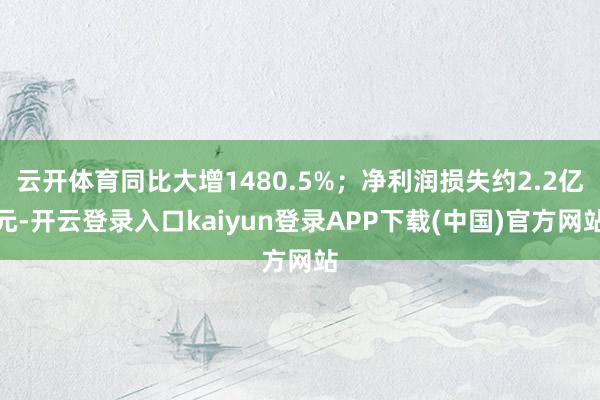 云开体育同比大增1480.5%；净利润损失约2.2亿元-开云登录入口kaiyun登录APP下载(中国)官方网站